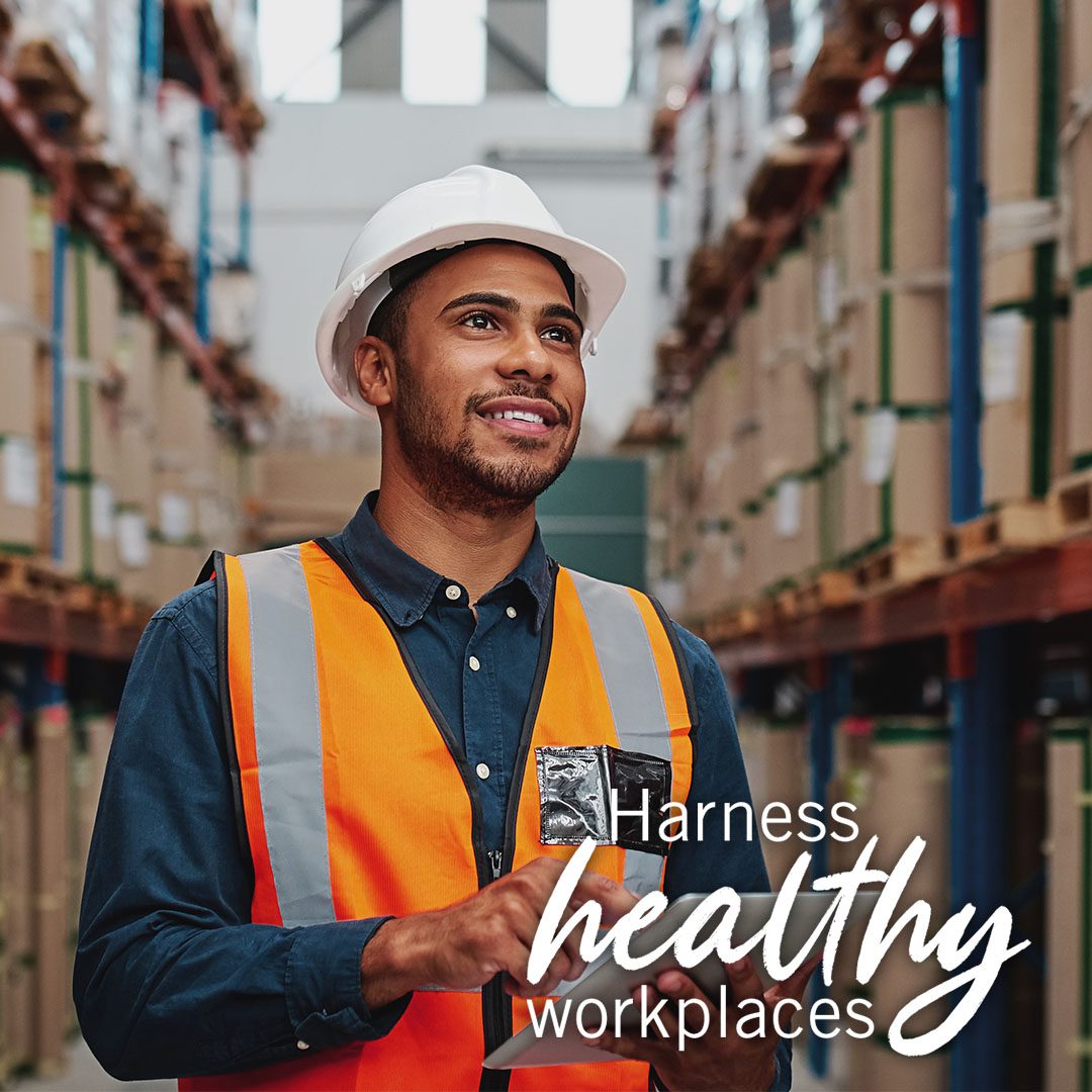 Harness healthy workplaces - Warehouse Cooling
