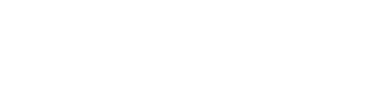 Seeley International Logo